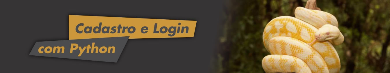 Cadastro e Login com Python - #06 Logout e Senha